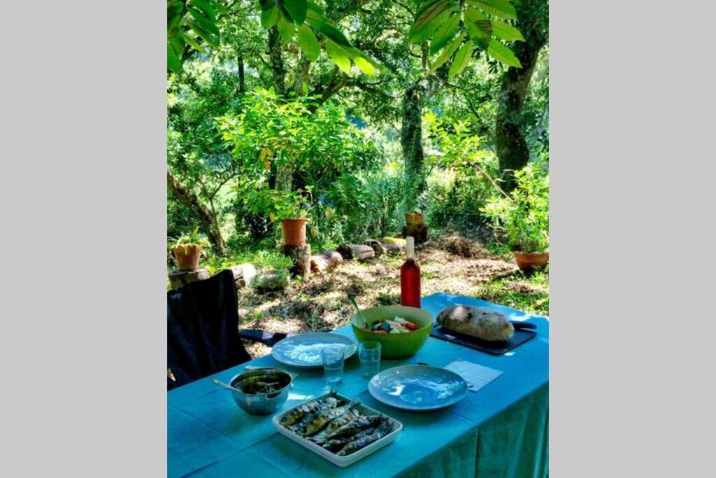 Quinta biológica, com vista, na Serra de Sintra Exterior foto